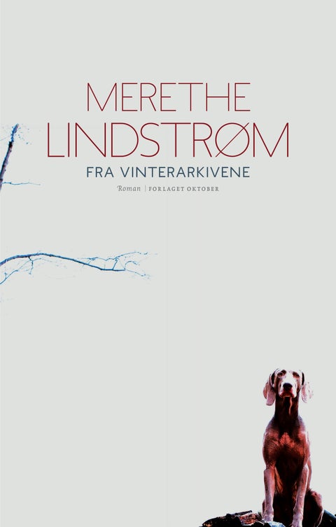 Fra vinterarkivene - roman