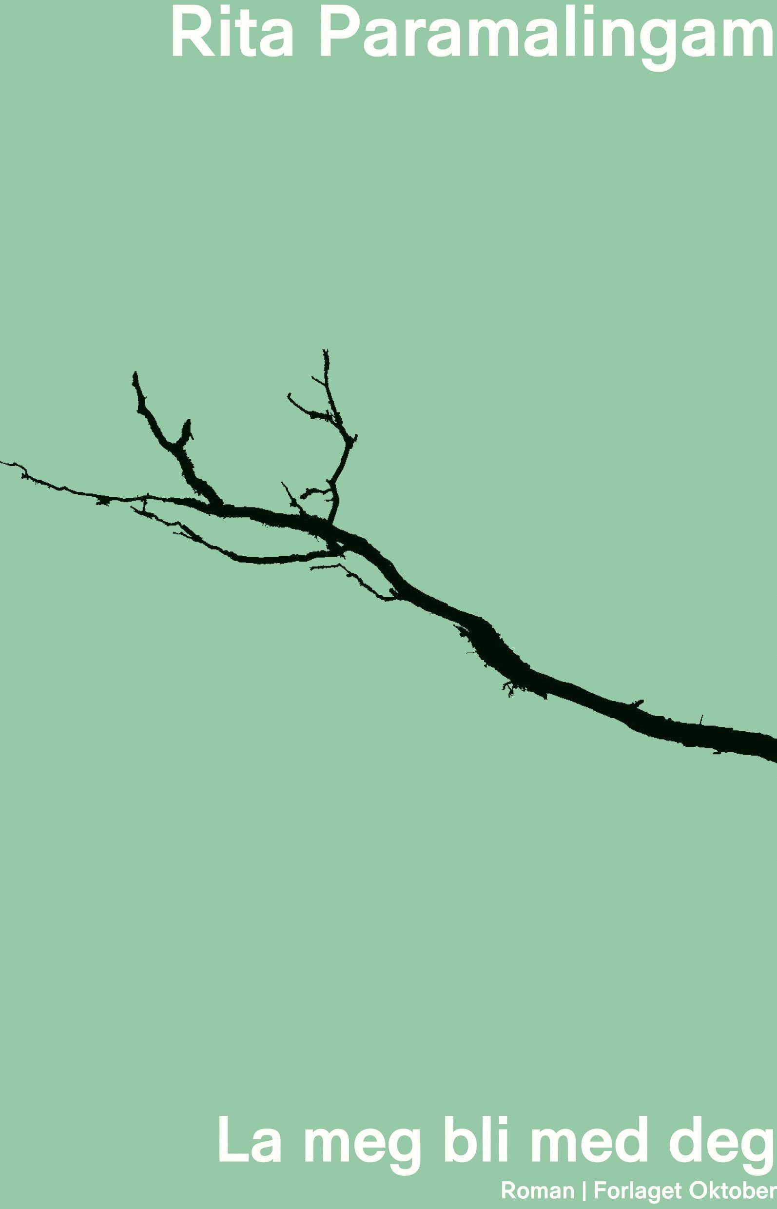 La meg bli med deg - roman