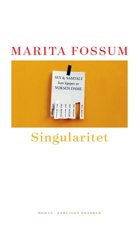 Singularitet - roman