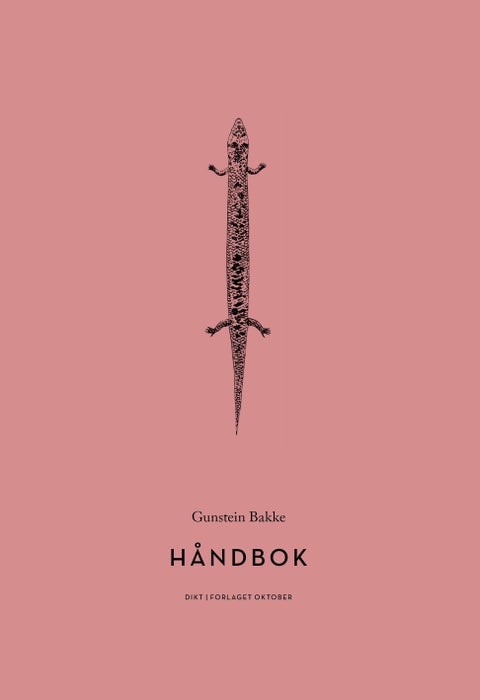 Håndbok - dikt
