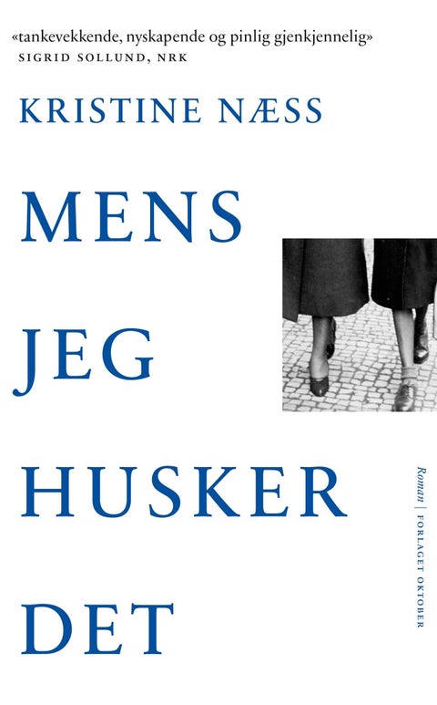 Mens jeg husker det - roman