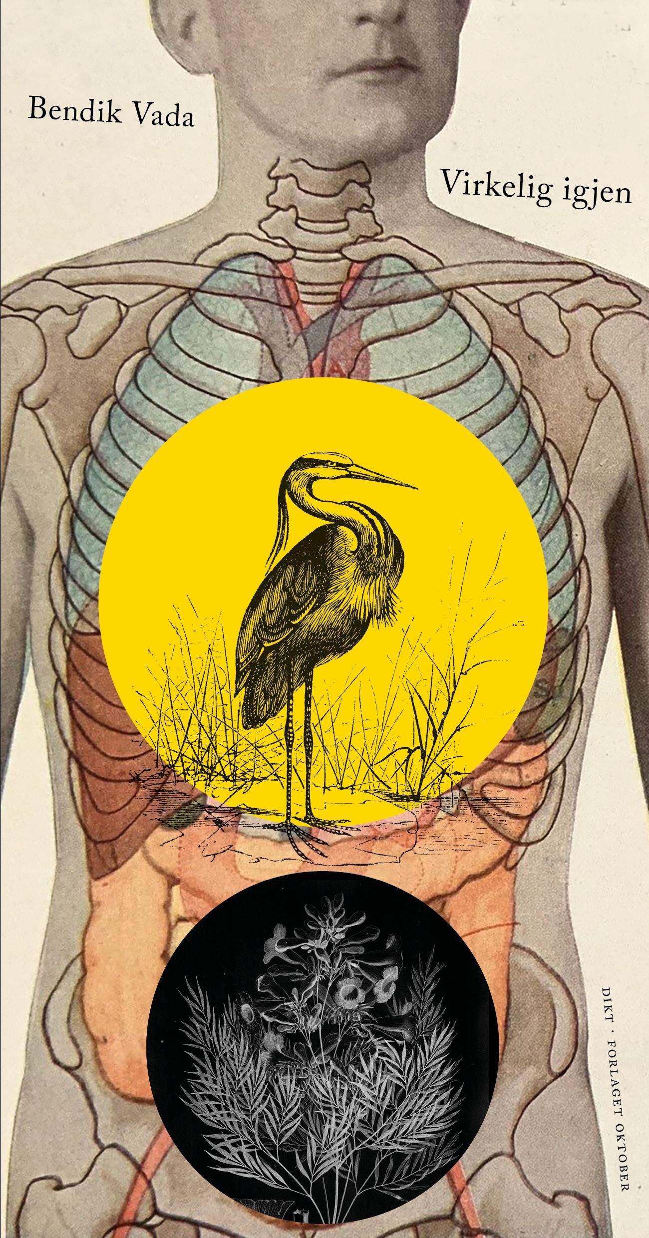 Virkelig igjen - dikt