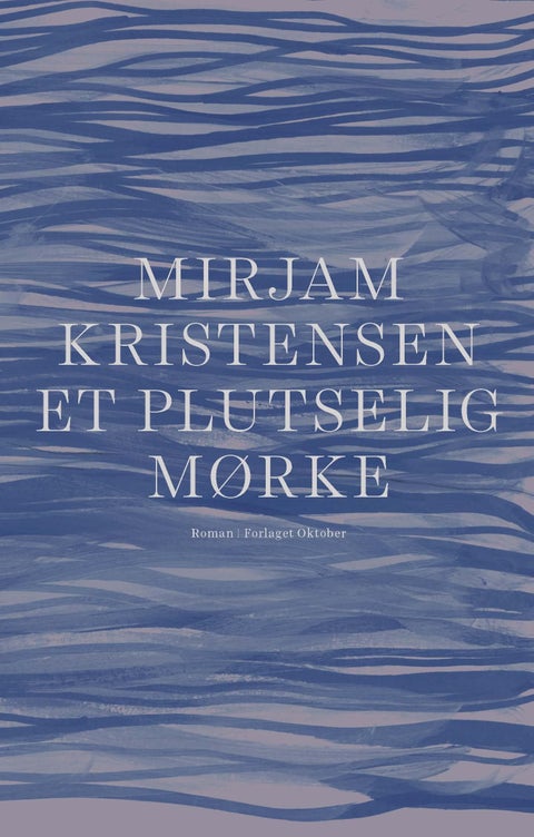 Et plutselig mørke - roman