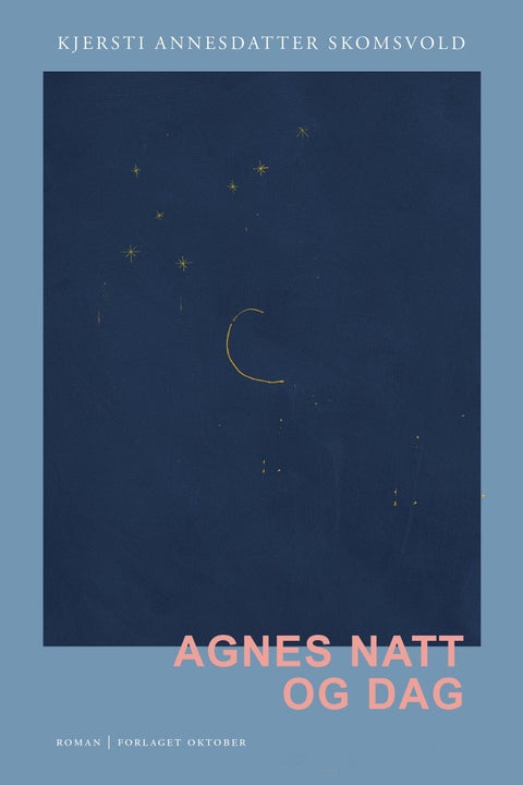 Agnes natt og dag - roman