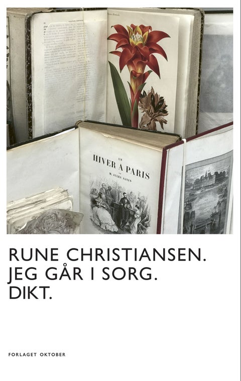 Jeg går i sorg - dikt