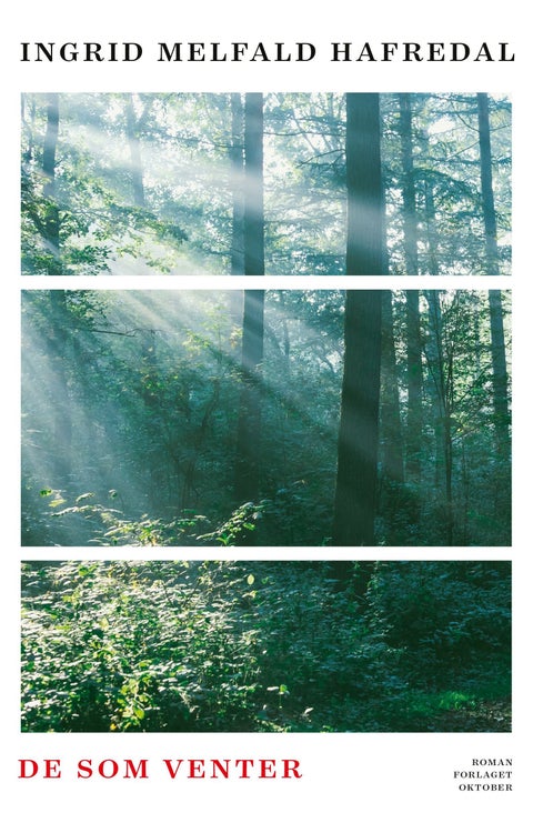 De som venter - roman