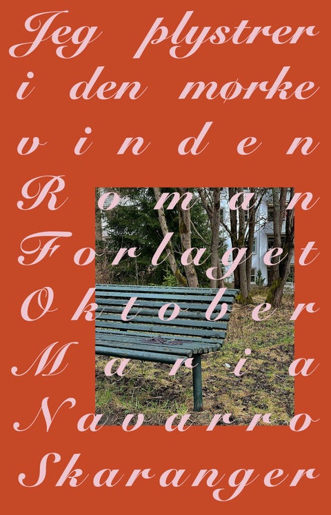 Jeg plystrer i den mørke vinden - roman