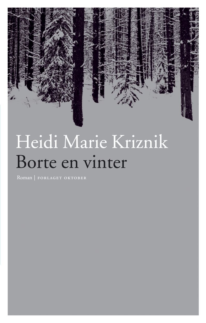 Borte en vinter - roman