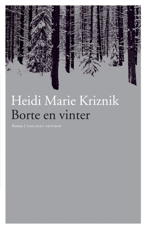 Borte en vinter - roman