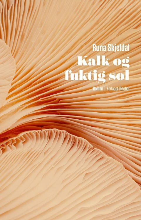 Kalk og fuktig sol - roman