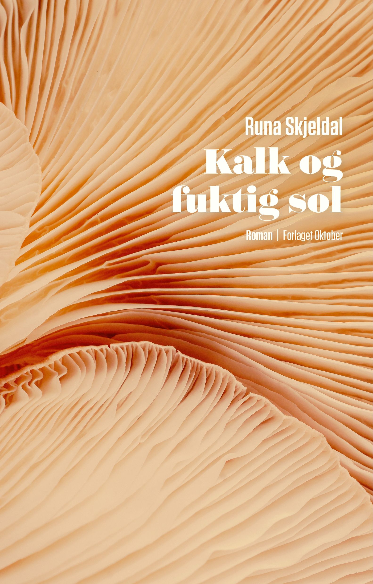 Kalk og fuktig sol - roman