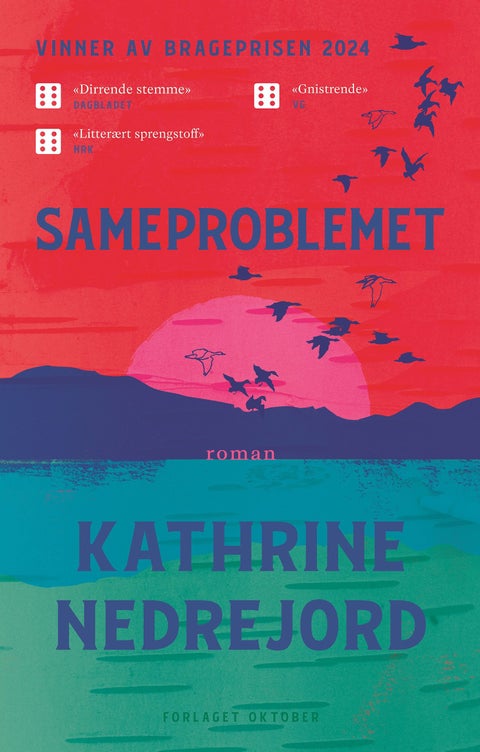 Sameproblemet - roman
