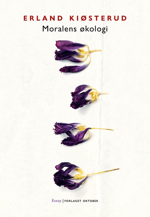 Moralens økologi - essay