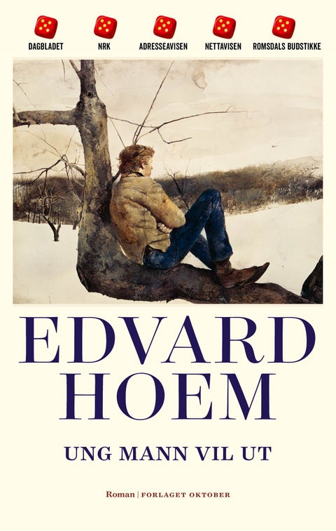 Ung mann vil ut - roman