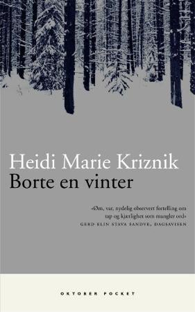 Borte en vinter - roman