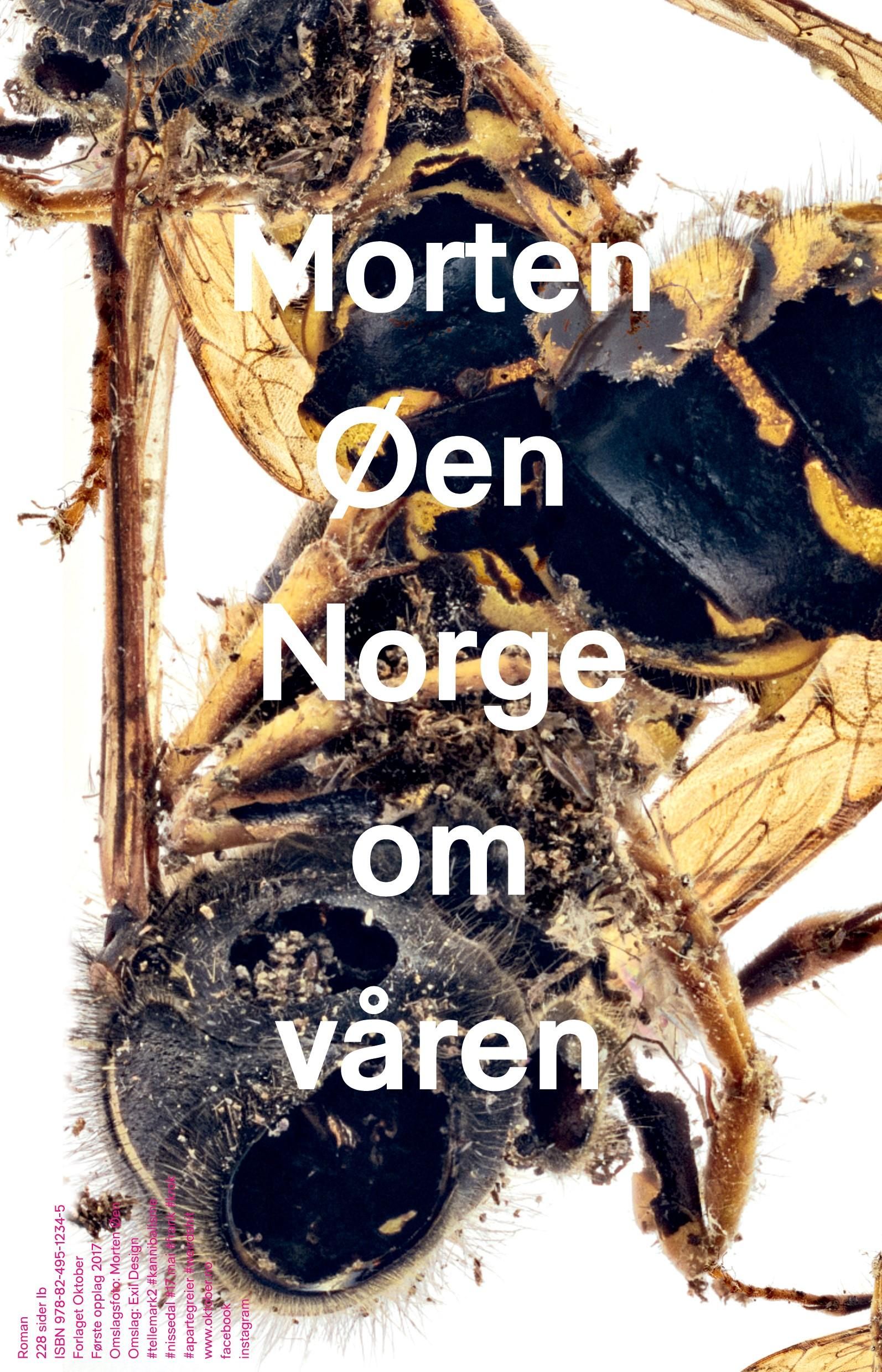Norge om våren - roman