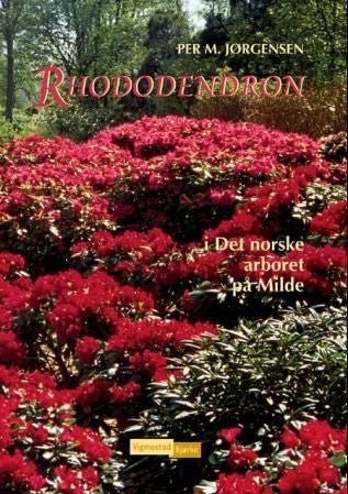 Rhododendron - i det norske arboret på Milde