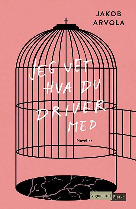 Jeg vet hva du driver med - noveller