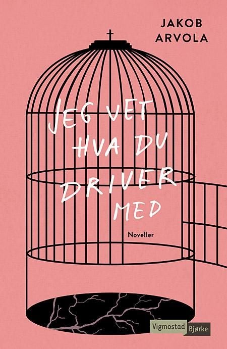 Jeg vet hva du driver med - noveller