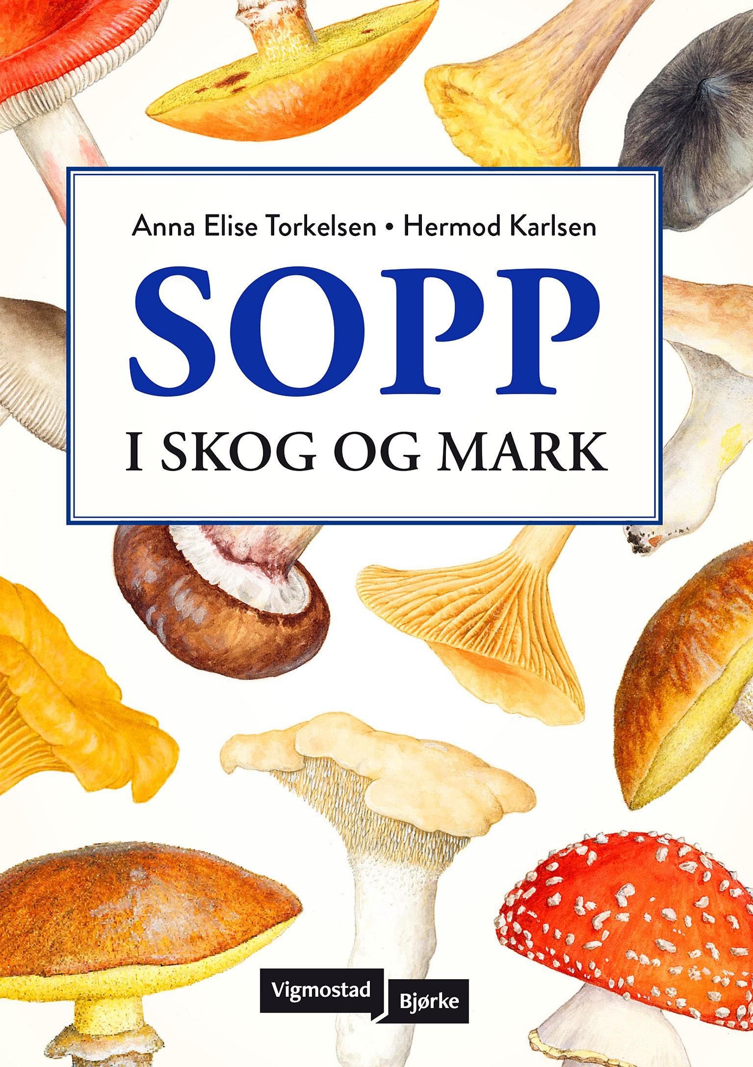 Sopp - i skog og mark