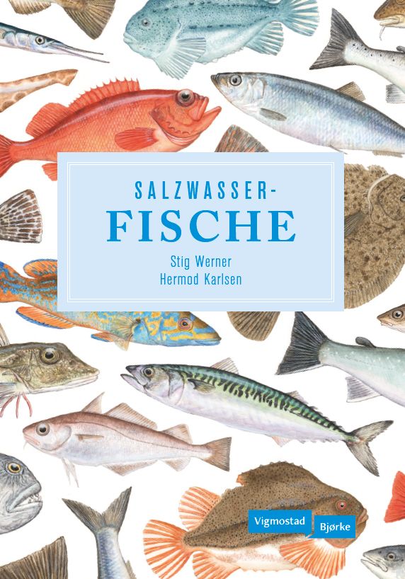 Salzwasserfische