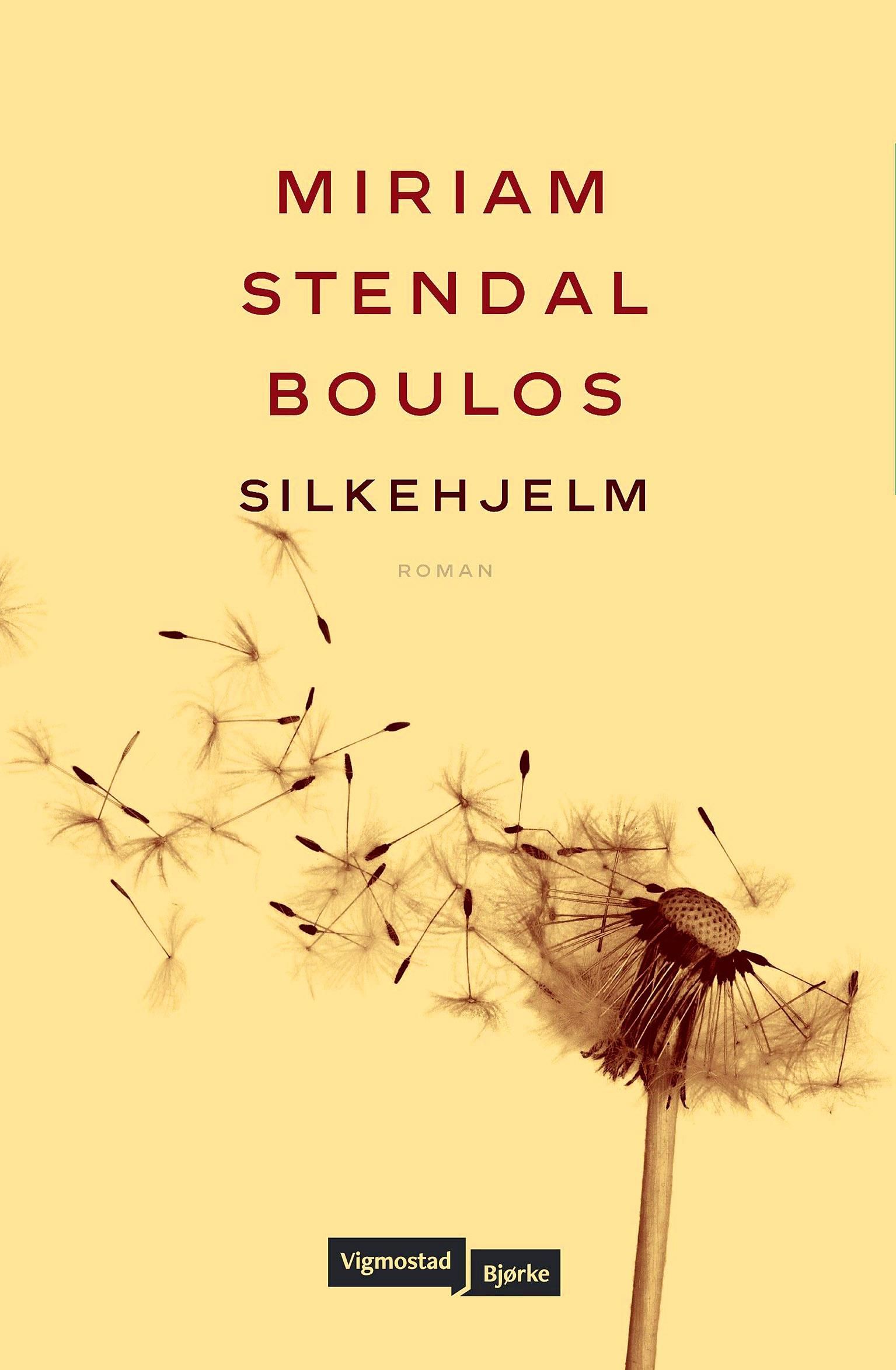 Silkehjelm - roman