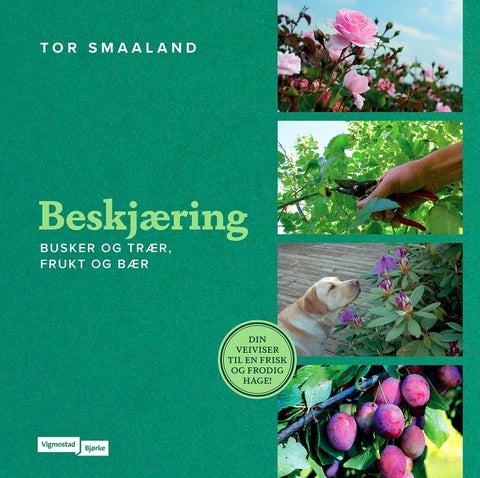 Beskjæring - av busker og trær, frukt og bær