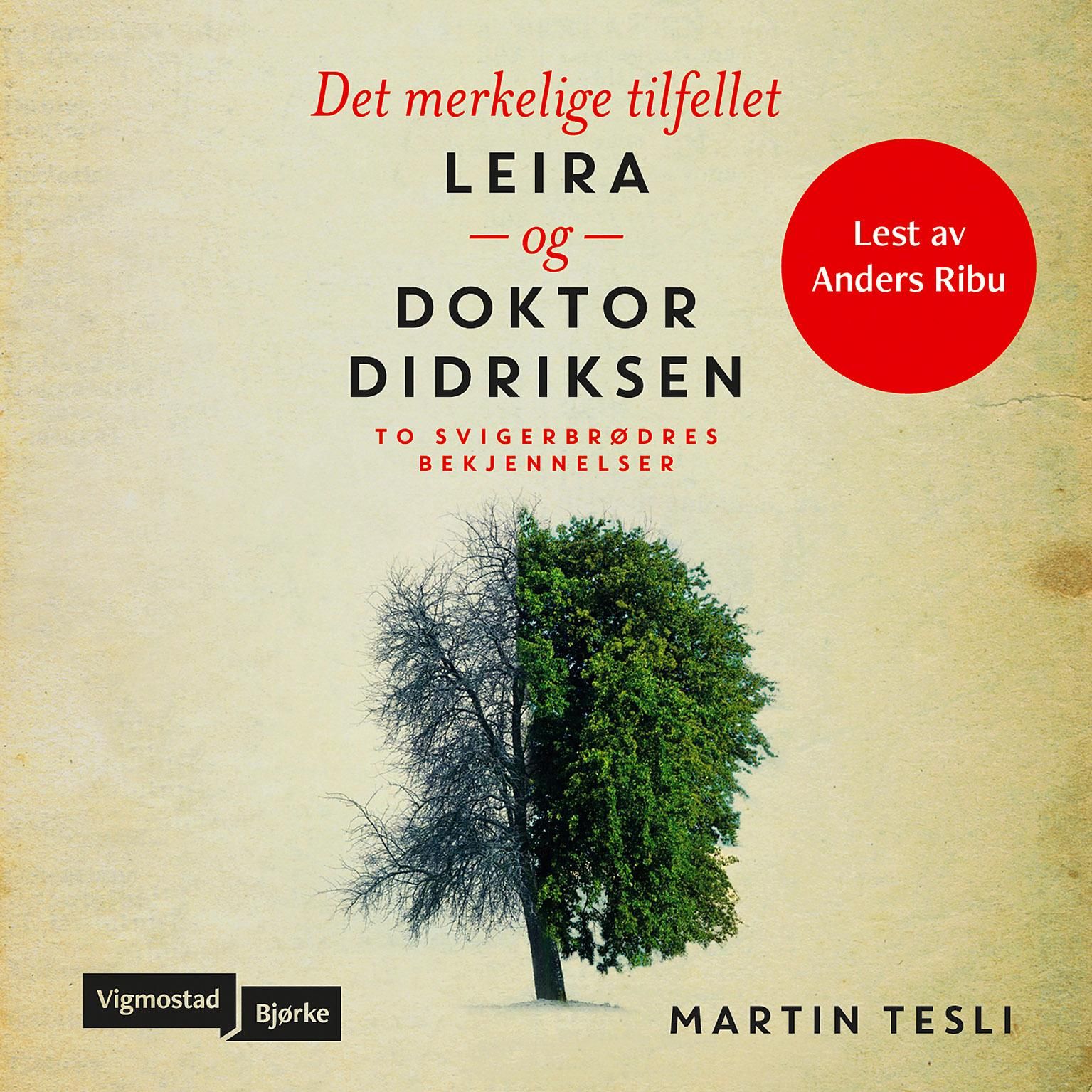 Det merkelige tilfellet Leira og Doktor Didriksen - to svigerbrødres bekjennelser