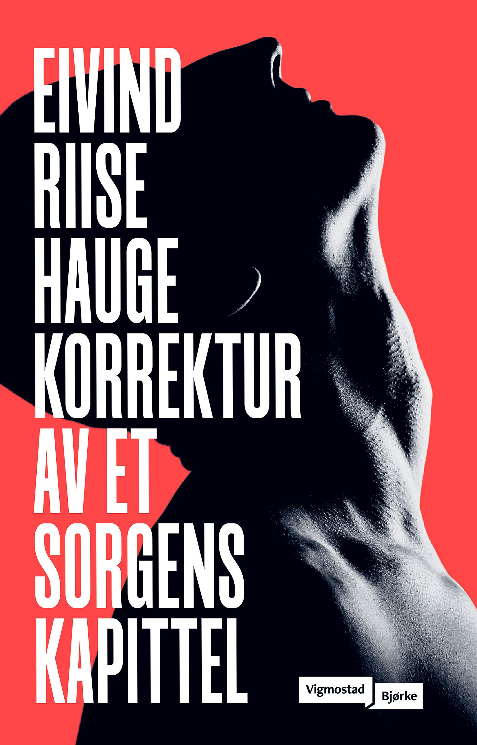 Korrektur av et sorgens kapittel - roman