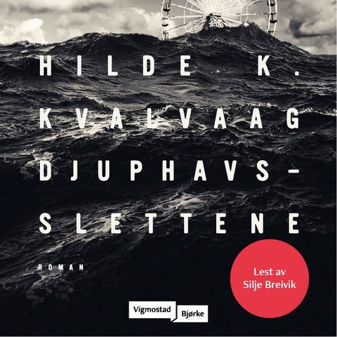 Djuphavsslettene - roman