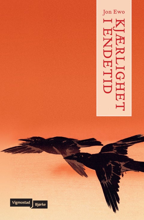 Kjærlighet i endetid - roman fra antropocens slutt