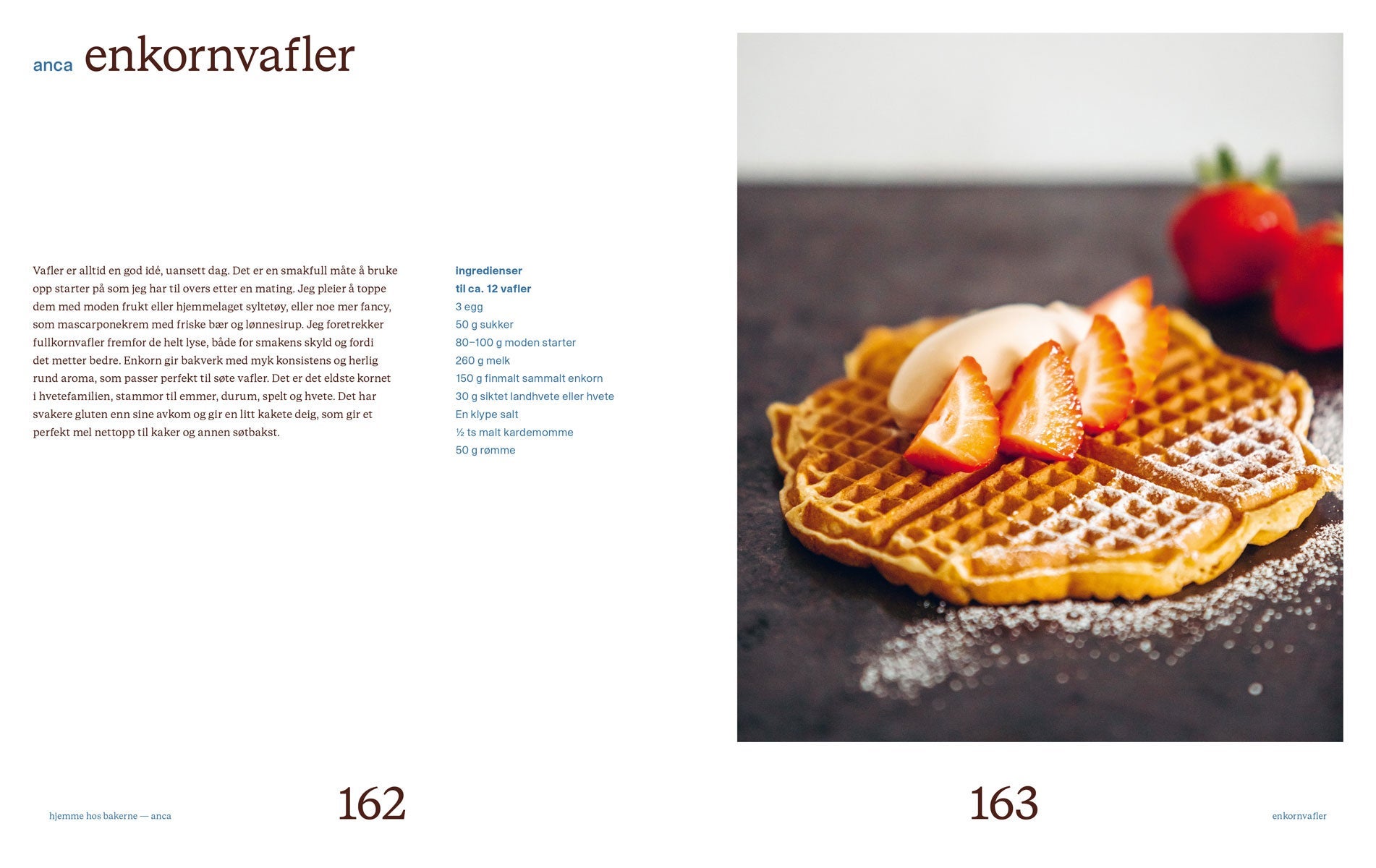 Surdeigsbakst fra Ille brød