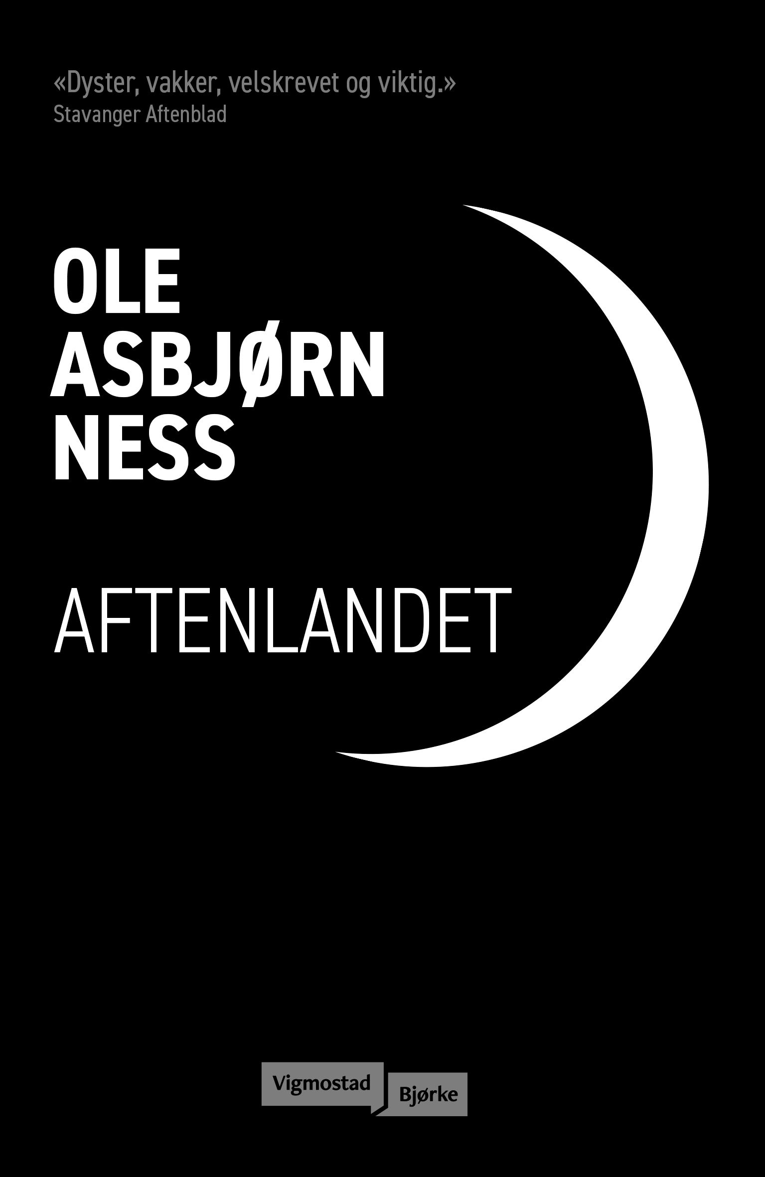 Aftenlandet - roman