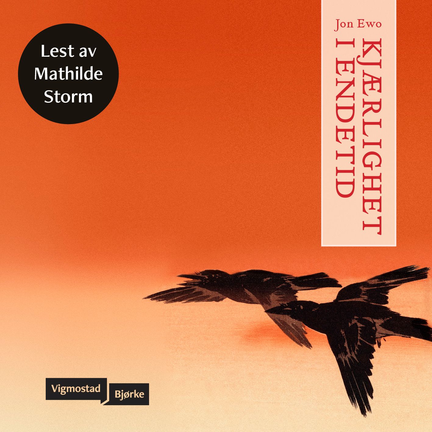 Kjærlighet i endetid - roman fra antropocens slutt