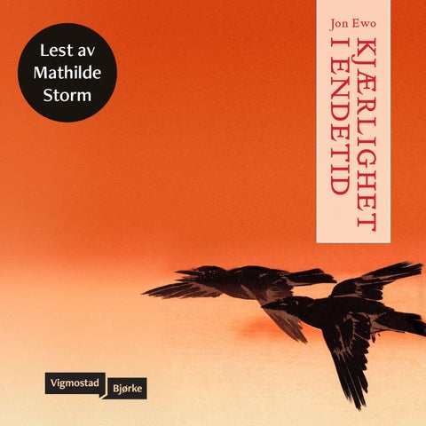 Kjærlighet i endetid - roman fra antropocens slutt