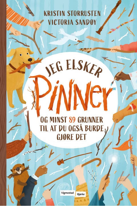 Jeg elsker pinner - og minst 89 grunner til at du også burde gjøre det