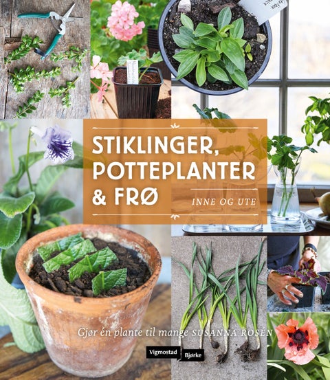Stiklinger, potteplanter og frø - inne og ute