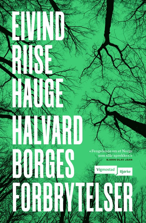 Halvard Borges forbrytelser - roman