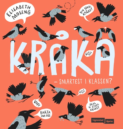 Kråka - smartest i klassen?