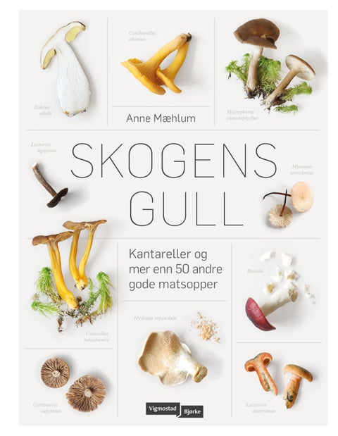 Skogens gull