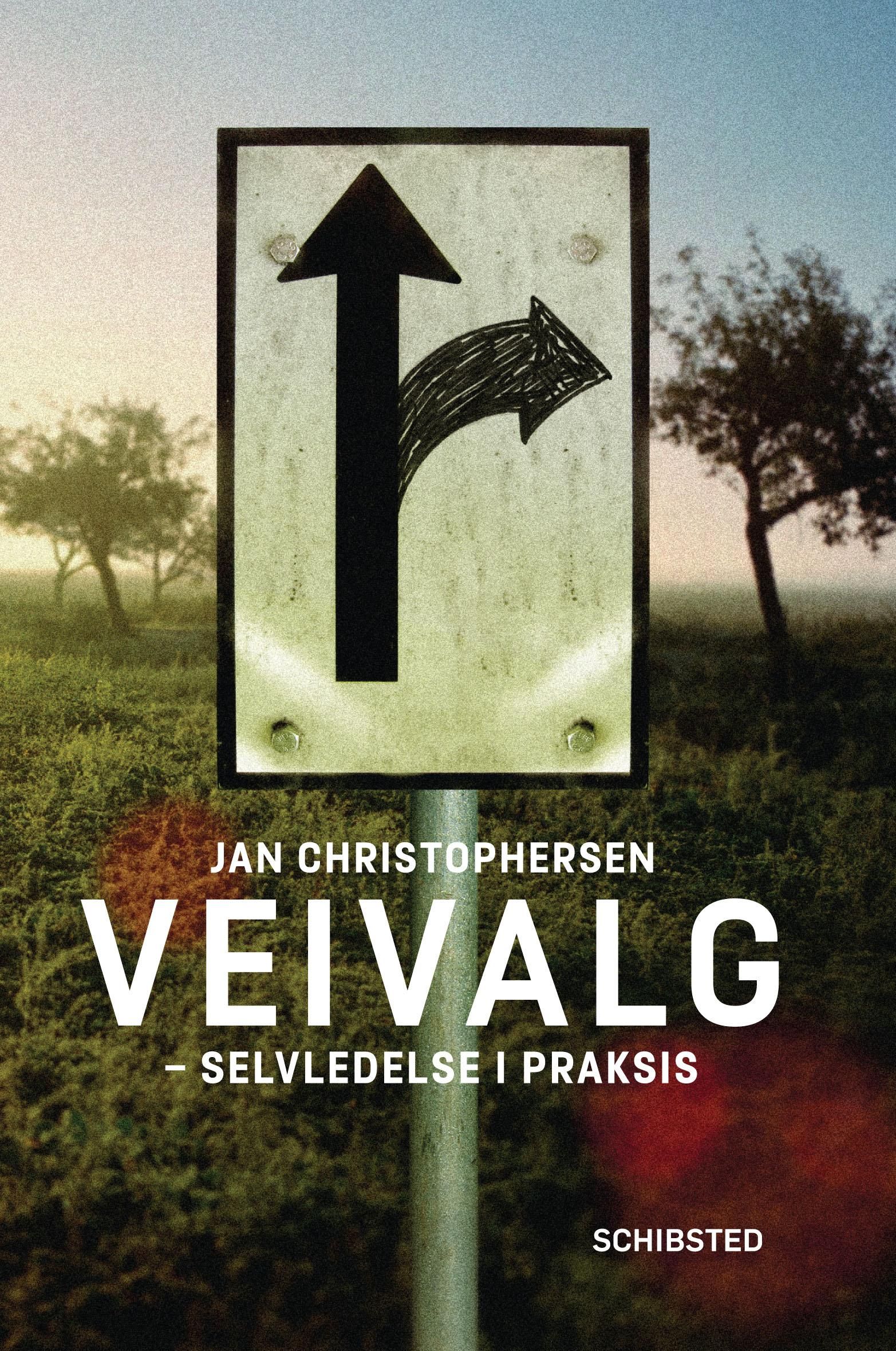 Veivalg - selvledelse i praksis