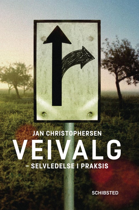 Veivalg - selvledelse i praksis