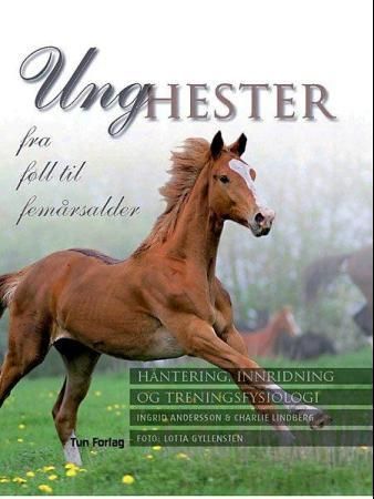 Unghester - fra føll til femårsalder