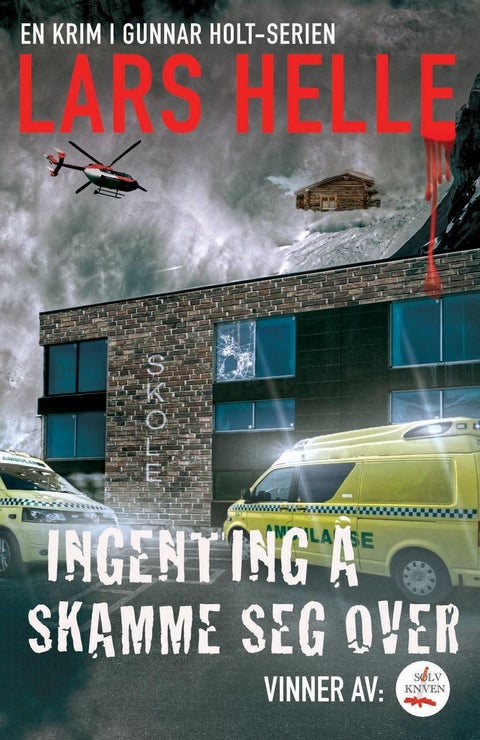 Ingenting å skamme seg over - roman