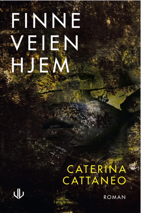 Finne veien hjem - roman