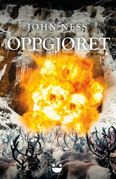 Oppgjøret - roman