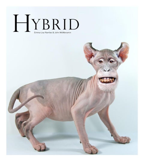 Hybrid
