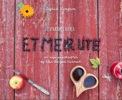 Et meir ute - turkokeboka : 100 nye oppskrifter og tips til god turmat
