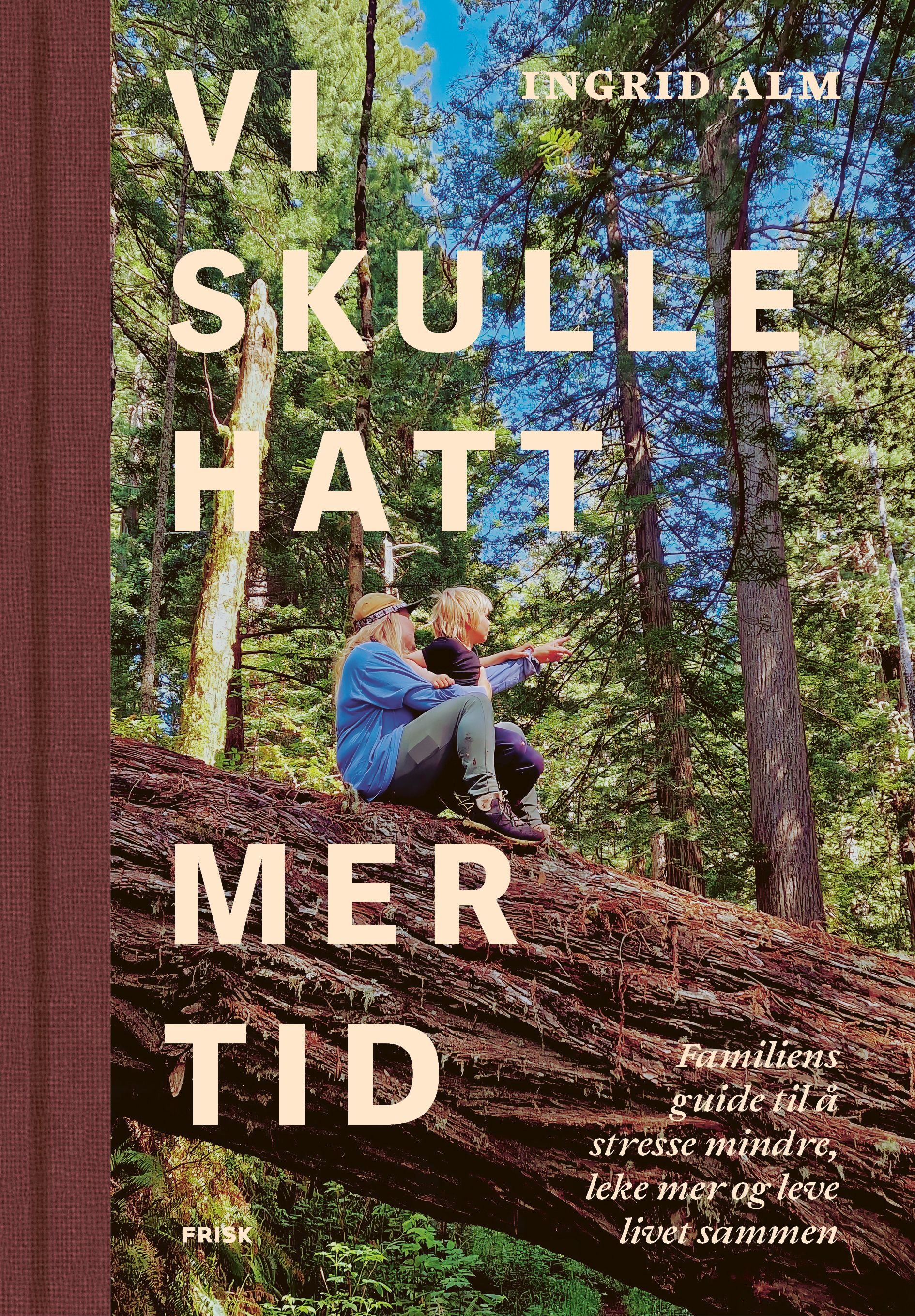 Vi skulle hatt mer tid - familiens guide til å stresse mindre, leke mer og leve livet sammen
