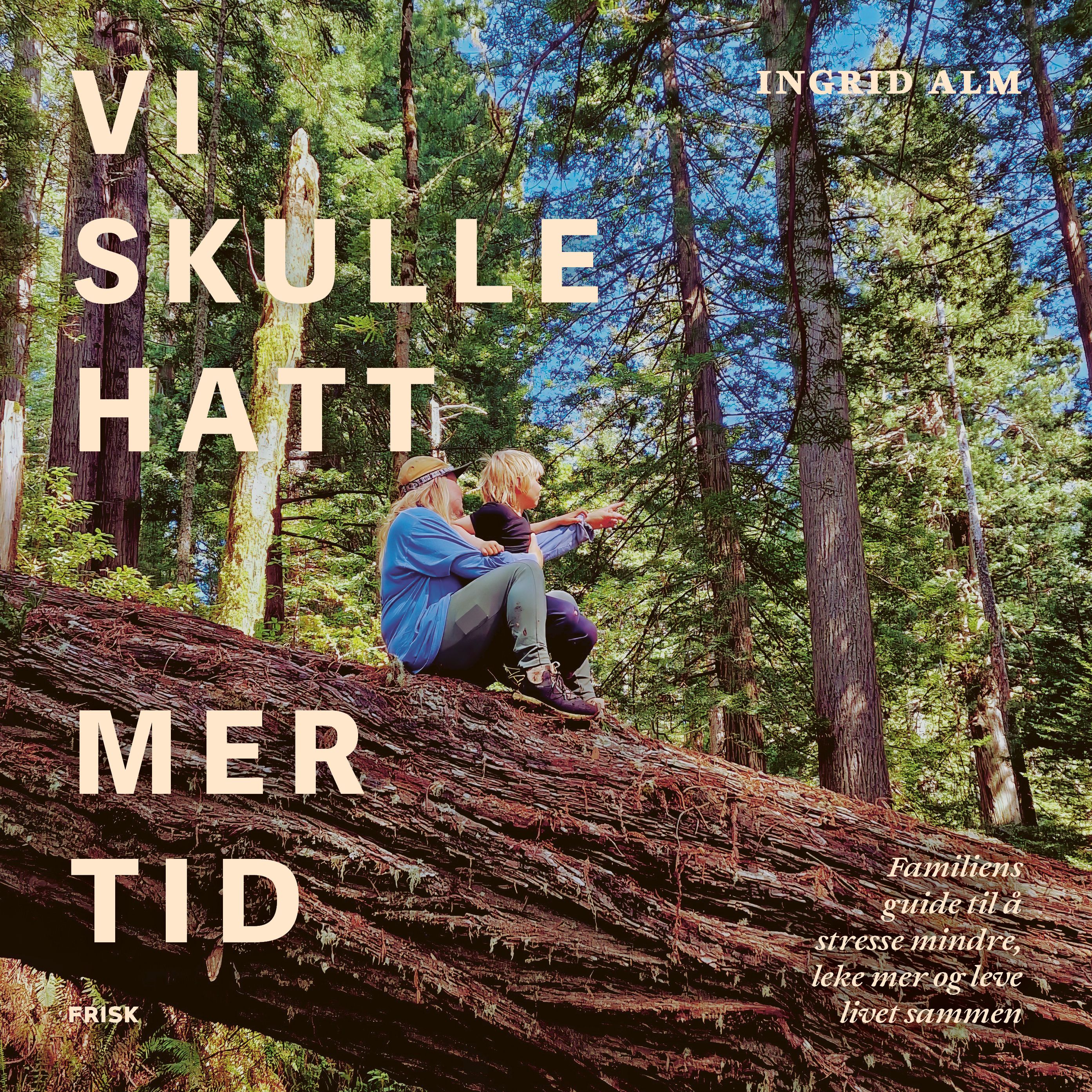 Vi skulle hatt mer tid - familiens guide til å stresse mindre, leke mer og leve livet sammen